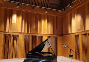 Studio nagrań dźwiękowych - studio nagrań dźwiękowych ze specjalnymi kształtami adaptacji akustycznej umieszczonej na ścianach. W najniższym pasie są tzw. rozpraszacze dźwięku (różnej szerokości szczeliny ułożone w odpowiednim porządku). W środkowym pasie są duże i nieregularne kształty 3D mające rozproszyć niskie i średnie częstotliwości dźwięku wypełniające studio nagrań. Najwyższy pas pod sufitem ma za zadanie odpowiednio ukierunkować najwyższe częstotliwości dźwięku. Wszystkie elementy powodują, że dźwięk w studio nagrań w każdym jego miejscu brzmi żywo i dobrze