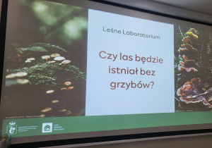 Na zdjęciu widać prezentację edukacyjną "Leśne Laboratorium - Czy las będzie istniał bez grzybów?". Na slajdzie widoczne są fotografie grzybów rosnących na leśnym podłożu oraz na pniach drzew.
