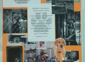 Całoroczna zbiórka darów na rzecz Bezdomnych Zwierząt ze Schronisk w Celestynowie i Józefowie