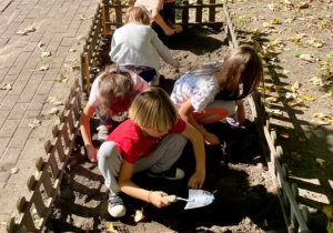 Uczniowie pielą ogródek.