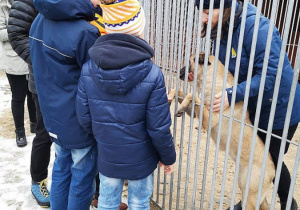 Uczniowie z nauczycielką na terenie schroniska podczas zwiedzania - nauczycielka w kojcu dla zwierząt razem z psem.