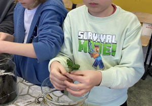 Psrzemysław i Ivan sadzą pierwsze roślinki do swoich słoików.