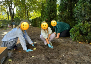 Uczniowie sadzą cebulki tulipanów.