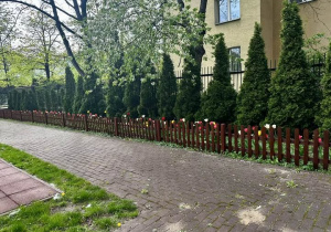 Ogródek kwiatowy z perspektywy ogrodu szkolnego.