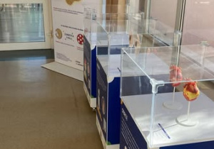 Plakat informujący o tematyce wystawy i gabloty stoją na łączniku prowadzącym do sali gimnastycznej.