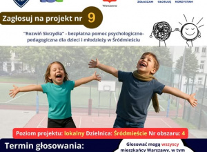 Budżet Obywatelski - Projekt nr 9
