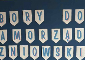Napis "Wybory do samorządu uczniowskiego" wisi na tablicy samorządu.