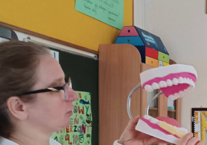 Pani prowadząca zajęcia pokazuje dzieciom model szczęki i prawidłowy sposów szczotkowania podczas mycia zębów.