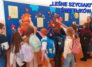 Leśne Szyciaki Świetlików