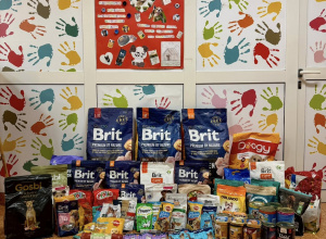 Przyjaciel Zwierząt - podsumowanie