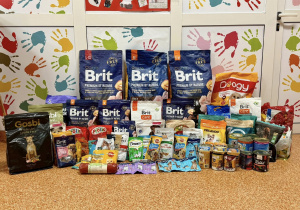 Zebrane dary, karma sucha i mokra dla psów i kotów.