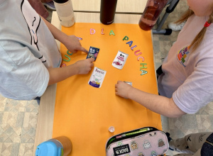 Pucha dla Palucha - podsumowanie