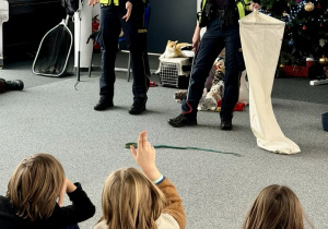 Funkcjonariuszki prezentuja sprzęt od odławiania węży: metalowy hak oraz profesjonalny worek do transportu.