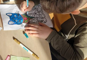 Chłopiec koloruje kolorowankę z wizerunkiem kota.