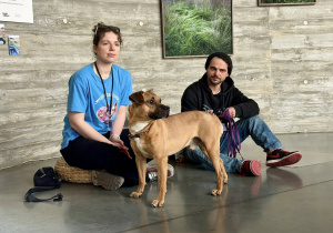 Wolontariusze i pies Elmo.