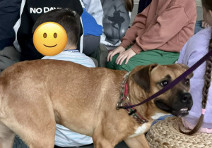 Elmo poznaje dzieci.